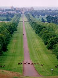 Windsor Great Park